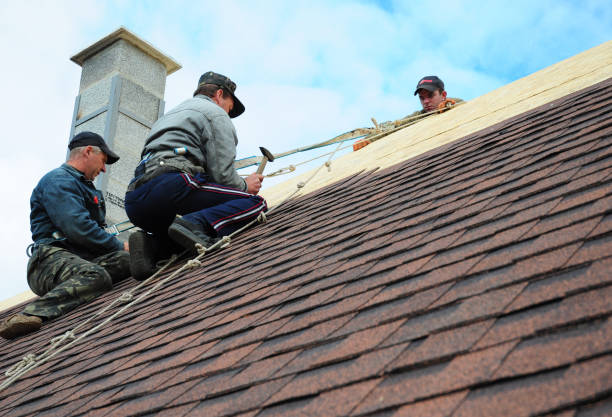 Best Metal Roofing Contractor  in Guttenberg, NJ